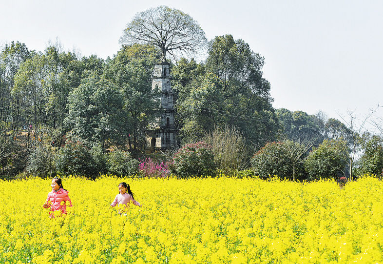 望城区茶亭镇惜字塔前，两名小朋友正在油菜花海里快乐地奔跑。