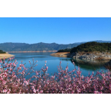 白廊镇白廊村获评第五批郴州市级同心美丽乡村