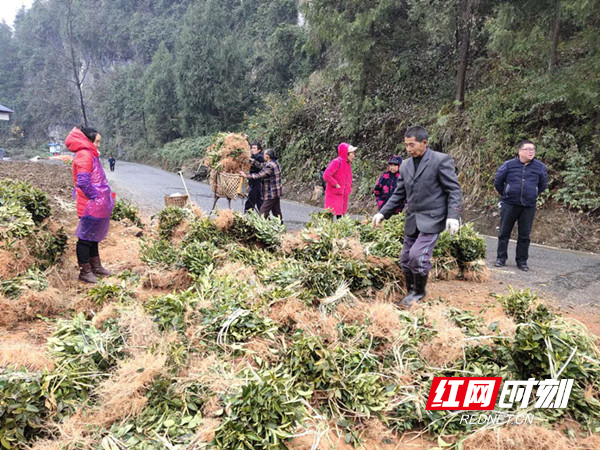 微信图片_20200317091402.jpg