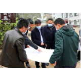 罗成辉调研乡村振兴、环湖路工程建设及环境整治工作