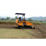 唐洞街道星塘村：230亩草皮改种艾草 