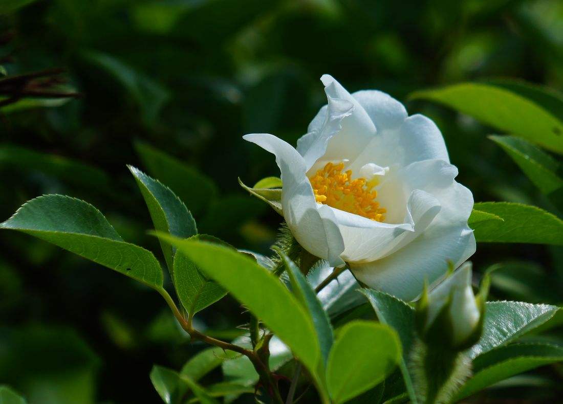 timg (29).jpg timg (29).jpg