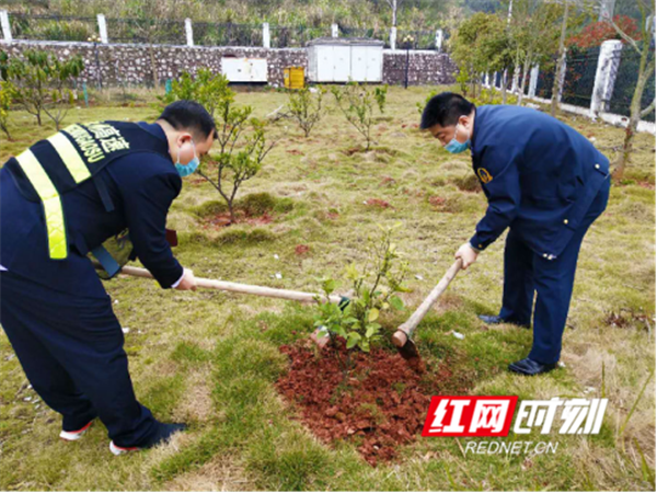 永州管理处组织开展“种下一棵树 守护平安路”主题义务植树活动1050_副本.png