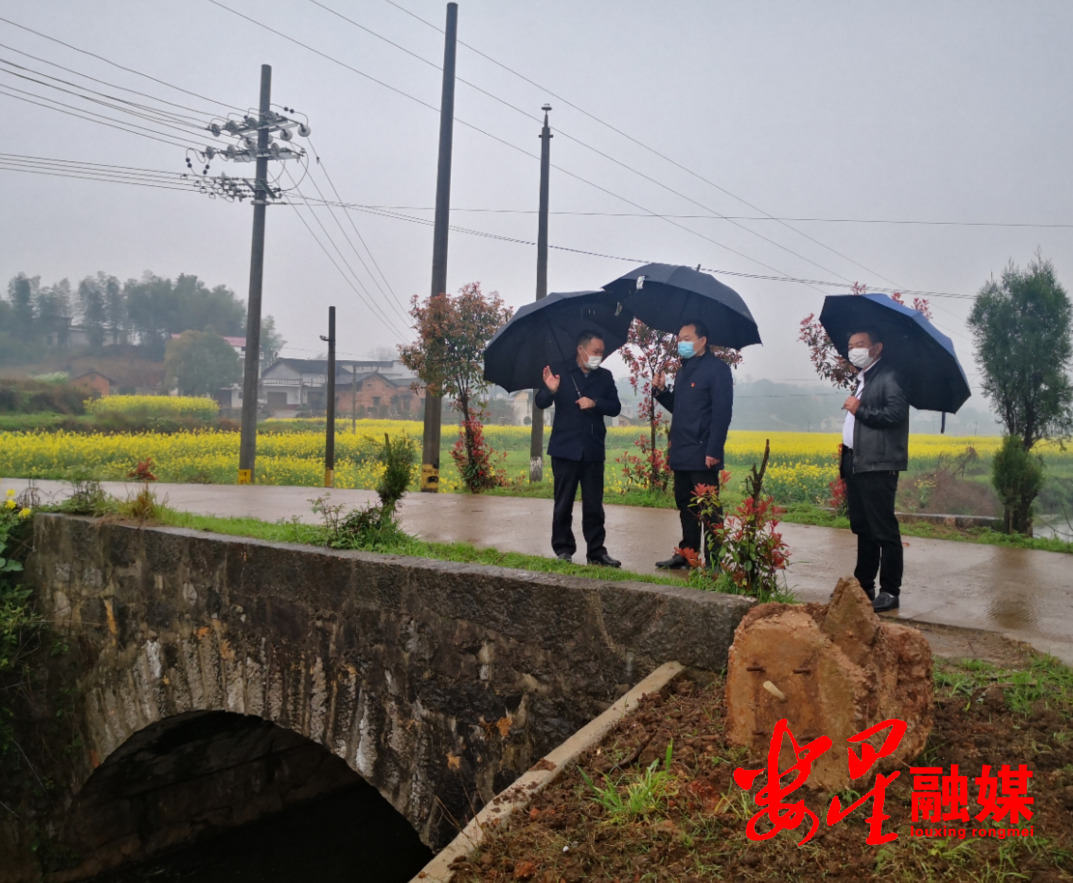 沿着金溪河新来村段,肖亮仔细察看了河流水质状况,沿岸环境卫生,水