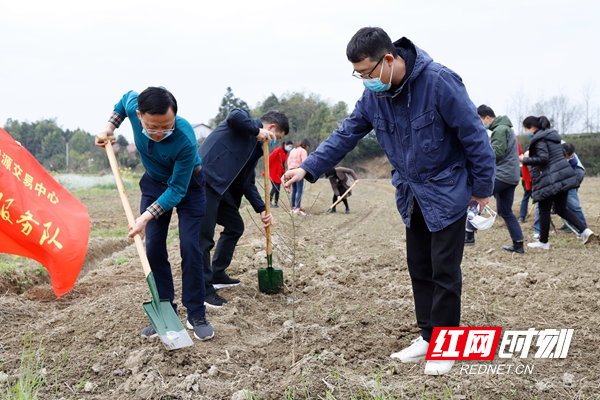 中心主任刘保湘参与植树.jpg