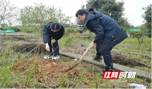 永州管理处组织开展“种下一棵树 守护平安路”主题义务植树活动453_副本.png