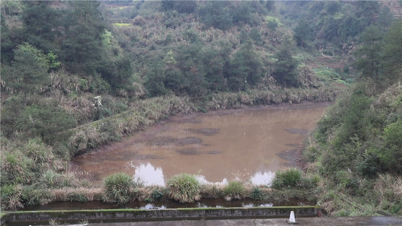 鹤城区水利局：积极防汛备汛 开启备战模式.mp4_20200318_143629.566.jpg