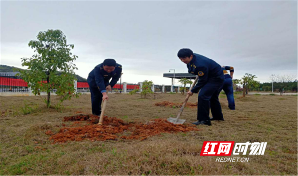 永州管理处组织开展“种下一棵树 守护平安路”主题义务植树活动1208_副本.png