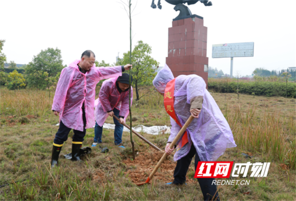 永州管理处组织开展“种下一棵树 守护平安路”主题义务植树活动270_副本.png