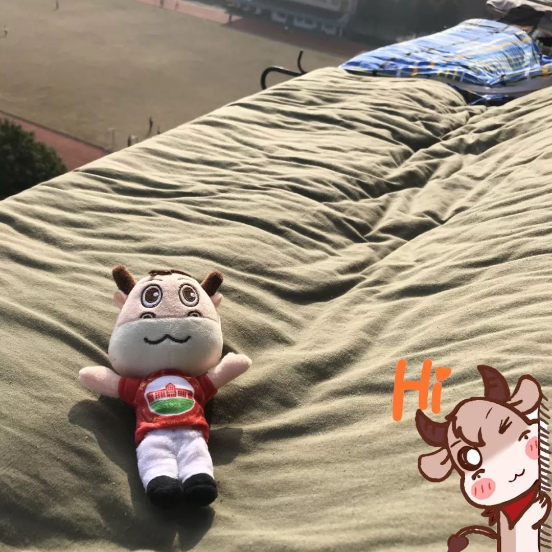 QQ??20200318112645.jpg