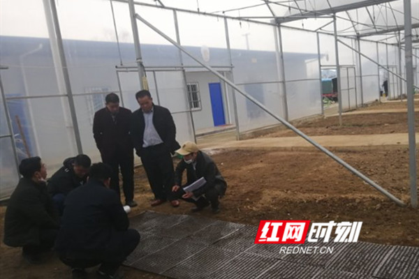 图片5_副本.jpg