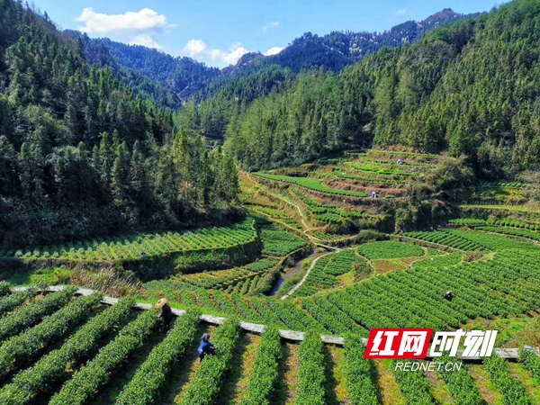 吉首市马颈坳镇隘口村图片