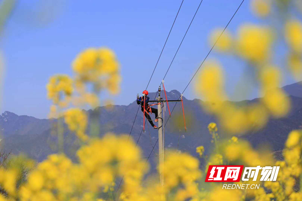 7cf16b963b164a5dae400d42c1b9828d.png