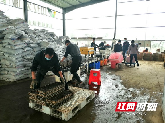 43178a0faa20eea99f6b054de4f1e44_???.marked.jpg 43178a0faa20eea99f6b054de4f1e44_???.marked.jpg