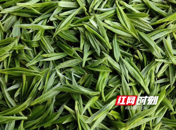 334a3f7b3991087bb2bc6ebba2f4a5f_副本.jpg