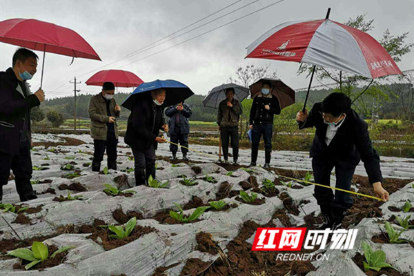 图片6_副本.jpg
