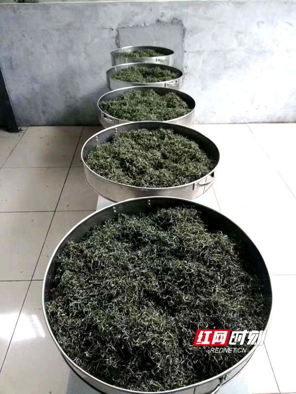 df40ff47c2664a54c5936e1bc419c42_副本.jpg
