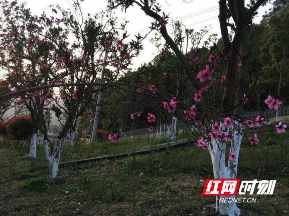 微信图片_20200320105831.wm.jpg 微信图片_20200320105831.wm.jpg