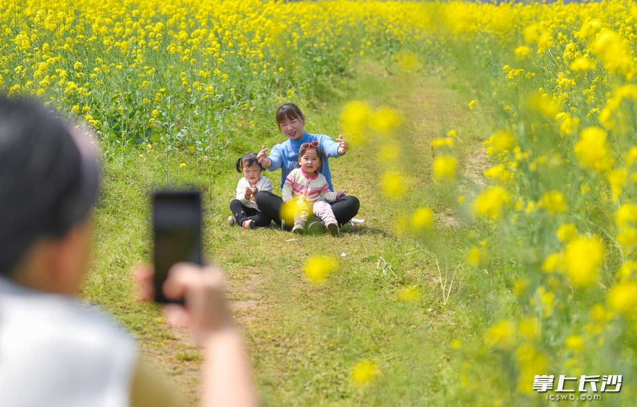 家长带着孩子们在油菜花海里拍摄。
