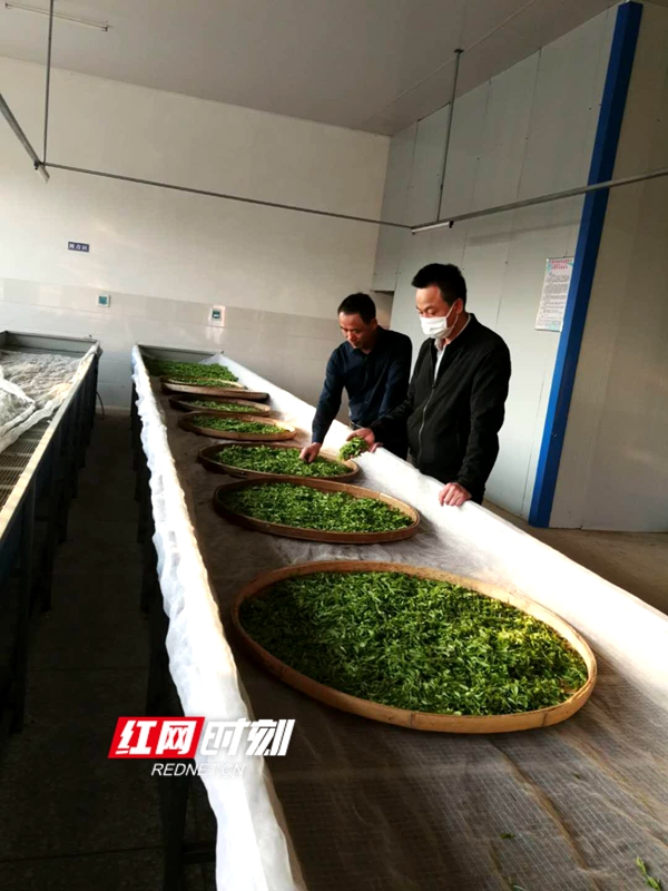 图片3_副本.jpg