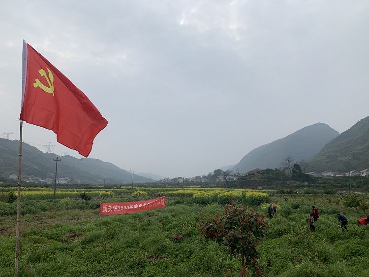 新关镇:青春在战"疫"中闪闪发光