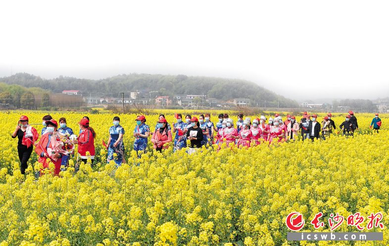 　　3月18日，“花海健行·田园欢歌”第五届含浦油菜花节启幕，游客们行走在油菜花海中，感受美好春光。均为邹麟 摄