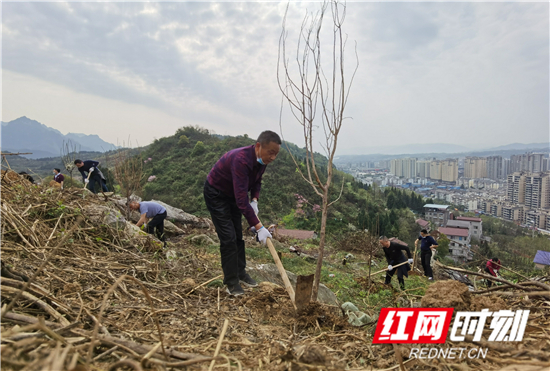 微信图片_20200320163819_副本.jpg