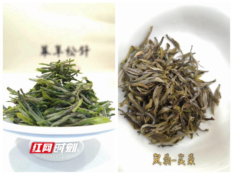 NeoImage_副本.jpg