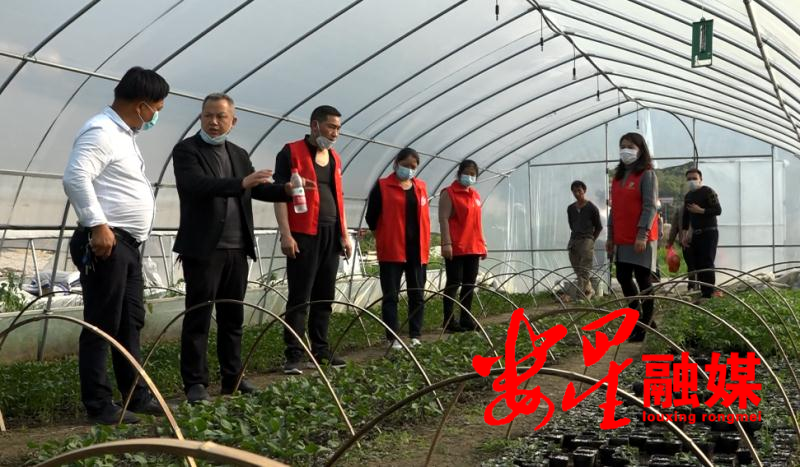 微信图片_202003231108401.jpg