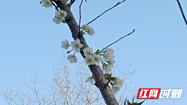 微信图片_20200323114320.jpg