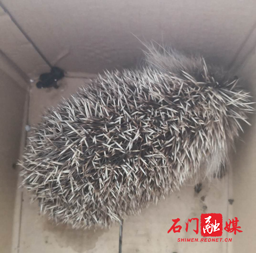 微信图片_20200323095102.jpg
