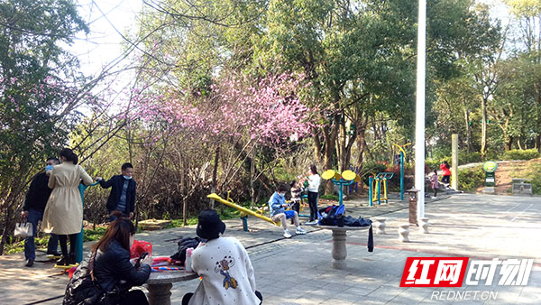 微信图片_20200323114718.jpg