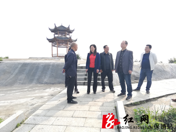 走访鼎盛黄金茶开发有限公司.jpg