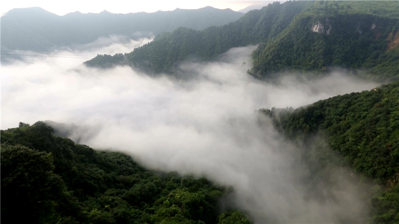 鹤城区：让援鄂白衣战士在天然氧吧放松心情（半成品）.mp4_20200326_153228.554.jpg
