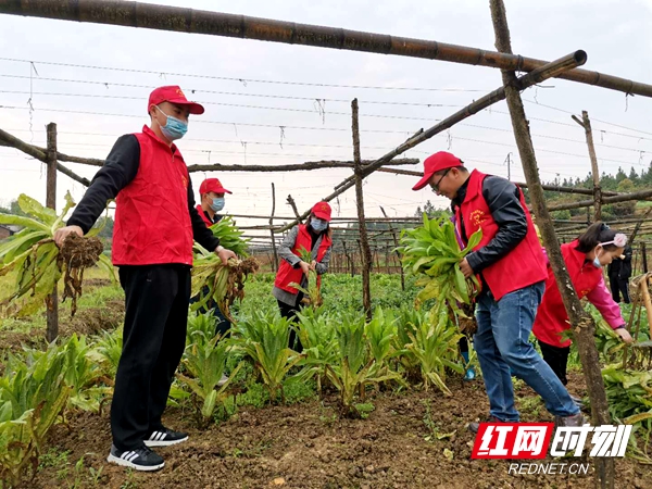 微信图片_20200326192028.jpg
