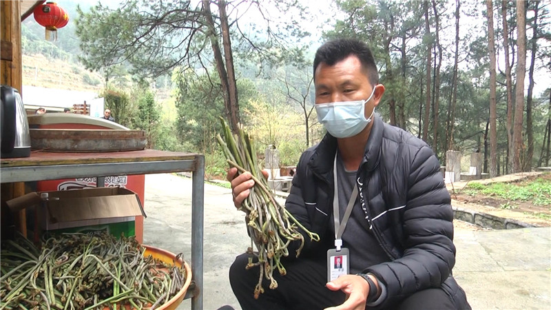 鹤城区：让援鄂白衣战士在天然氧吧放松心情（半成品）.mp4_20200326_153035.634.jpg