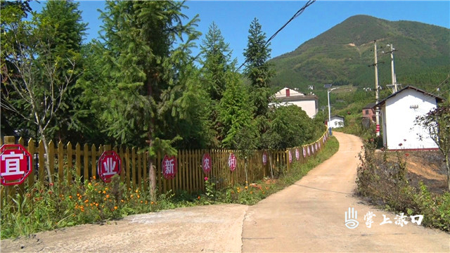 渌口区龙潭镇获评株洲市农村人居环境整治示范乡镇