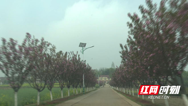 暴风截图202032730313396.jpg 暴风截图202032730313396.jpg