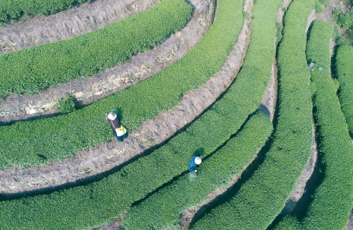图片新闻 图片新闻