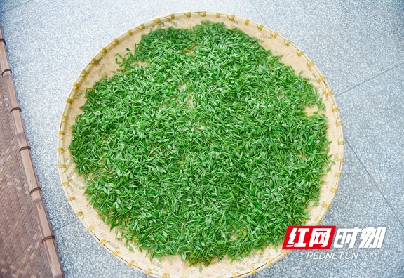 微信图片_202003301406542.marked.jpg
