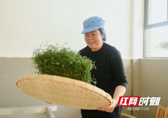 微信图片_202003301406545.marked.jpg