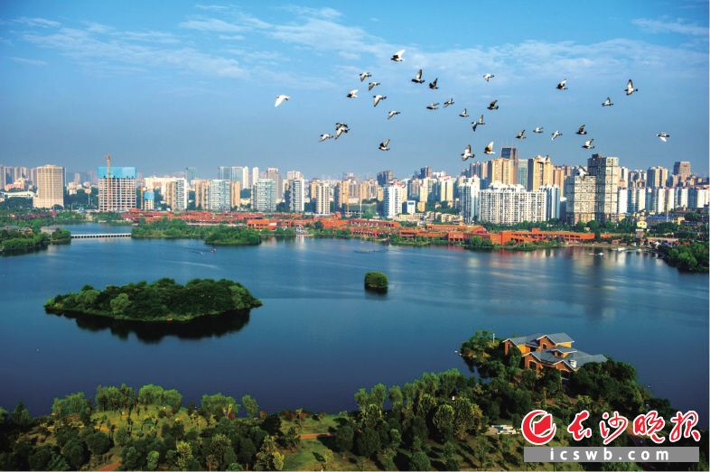 岳麓山下的西湖文化园绿意盎然、处处生机。周灿黎 摄