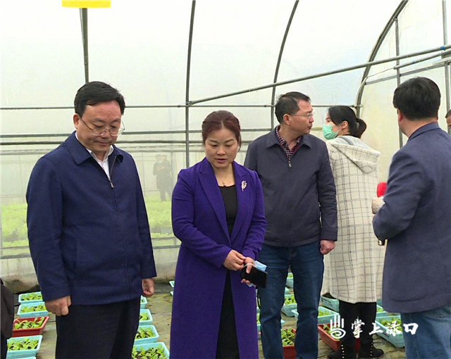 区委书记罗绍昀,市农业农村局局长陈艳娟以及各县市区农业农村局主要