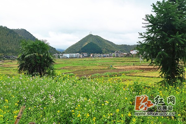 阳明山  人居环境整治 (2)h.jpg