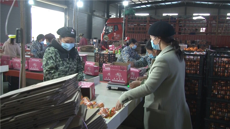 鹤城区人社局组织专车送农民工上岗复工.mp4_20200331_151053.653.jpg