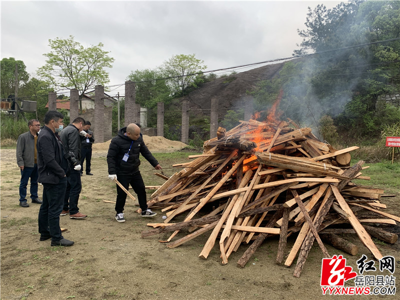 林业局2.jpg