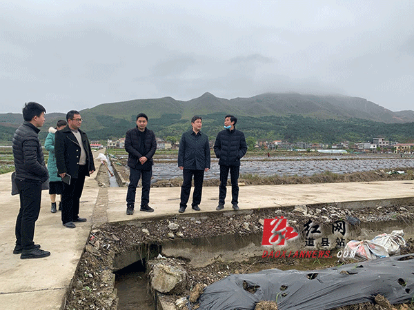 李天明在梅花镇调研.gif