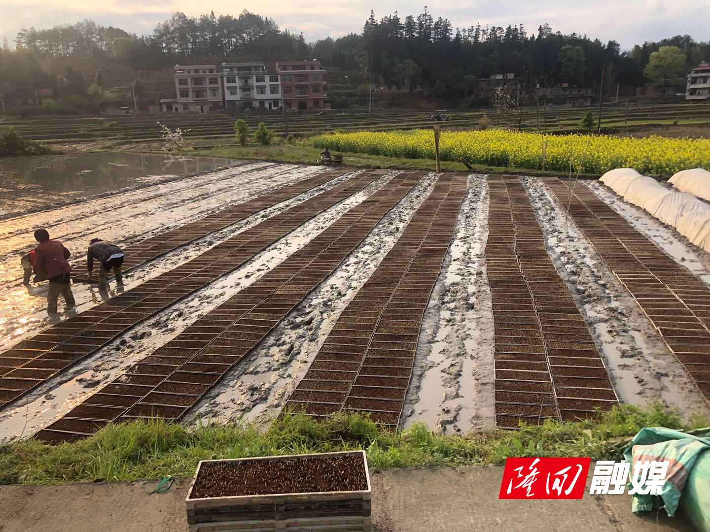 6c15d6af-1902-46bd-80b9-c379e14d9918.png 6c15d6af-1902-46bd-80b9-c379e14d9918.png