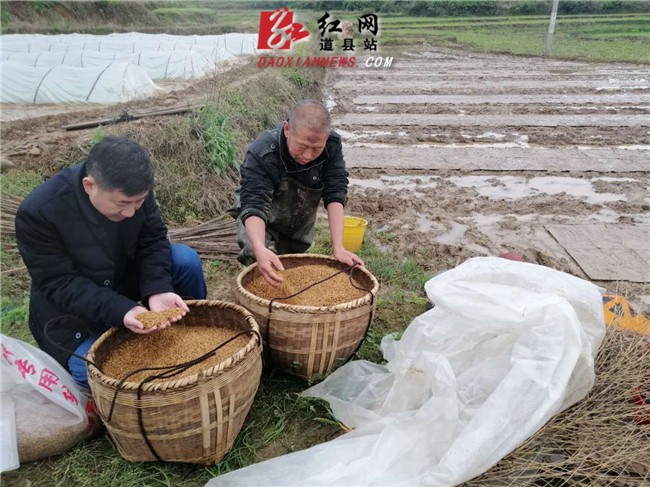3803F06F@7F02F852.193F835E.jpg_副本.jpg