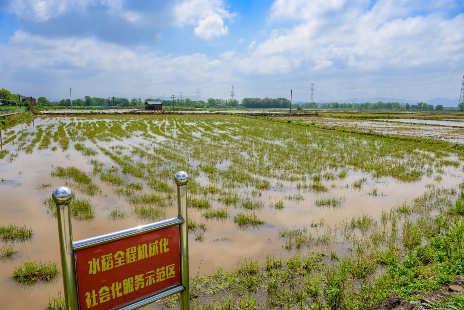浏阳沙市，种粮大户许海明父子购置了30多台大型农机，水稻生产基本实现全程机械化。  长沙晚报全媒体记者 陈飞 摄